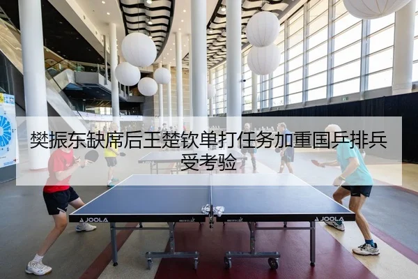 樊振东缺席后王楚钦单打任务加重国乒排兵受考验（Kaiyun）